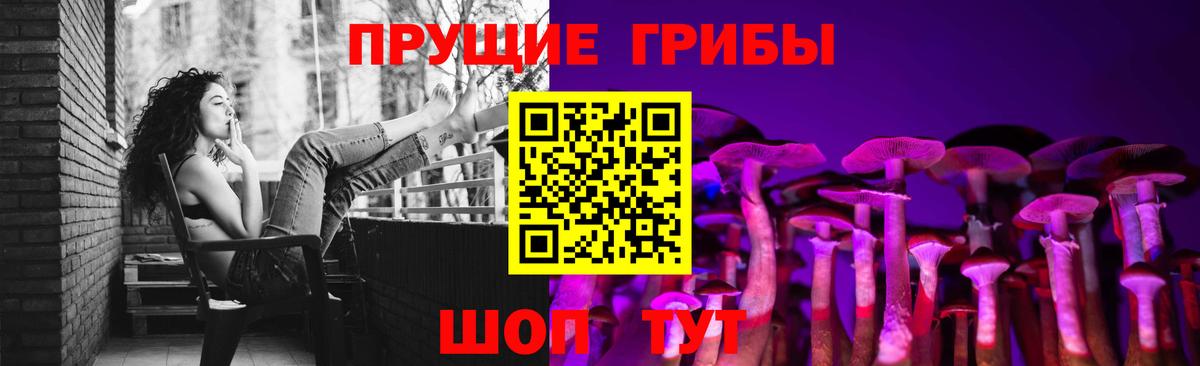 Псилоцибиновые грибы Psilocybe  Вход с VPN  Псилоцибиновые грибы мицелий  Звенигород 